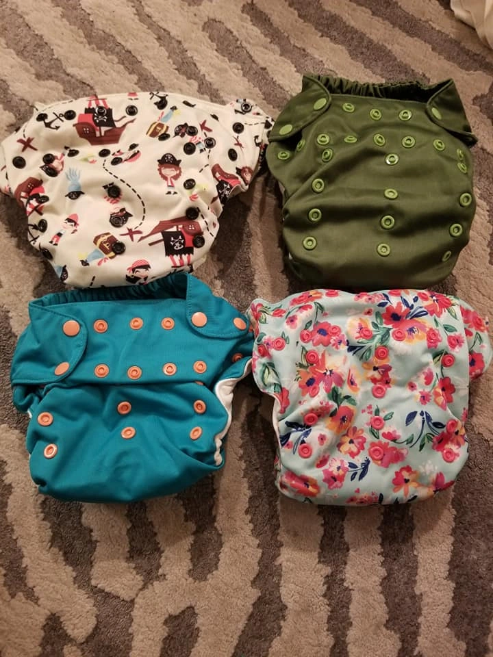 Smart Bottoms Cloth Diapers - photo 4