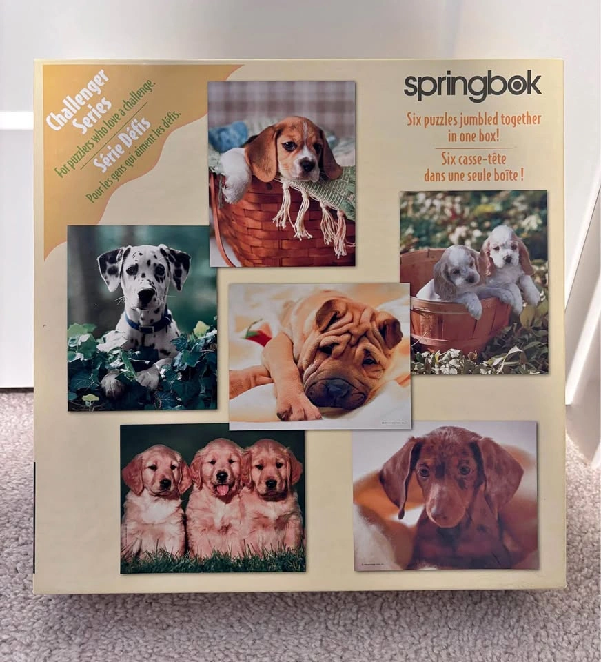 SPRINGBOK CHALLENGER SERIES - 6 PUZZLES IN ONE - 480 Pieces - $1