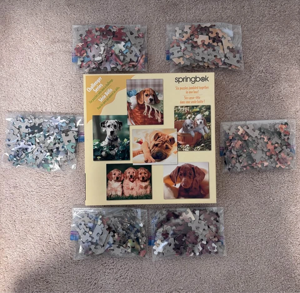 SPRINGBOK CHALLENGER SERIES - 6 PUZZLES IN ONE - 480 Pieces - $1 - photo 2
