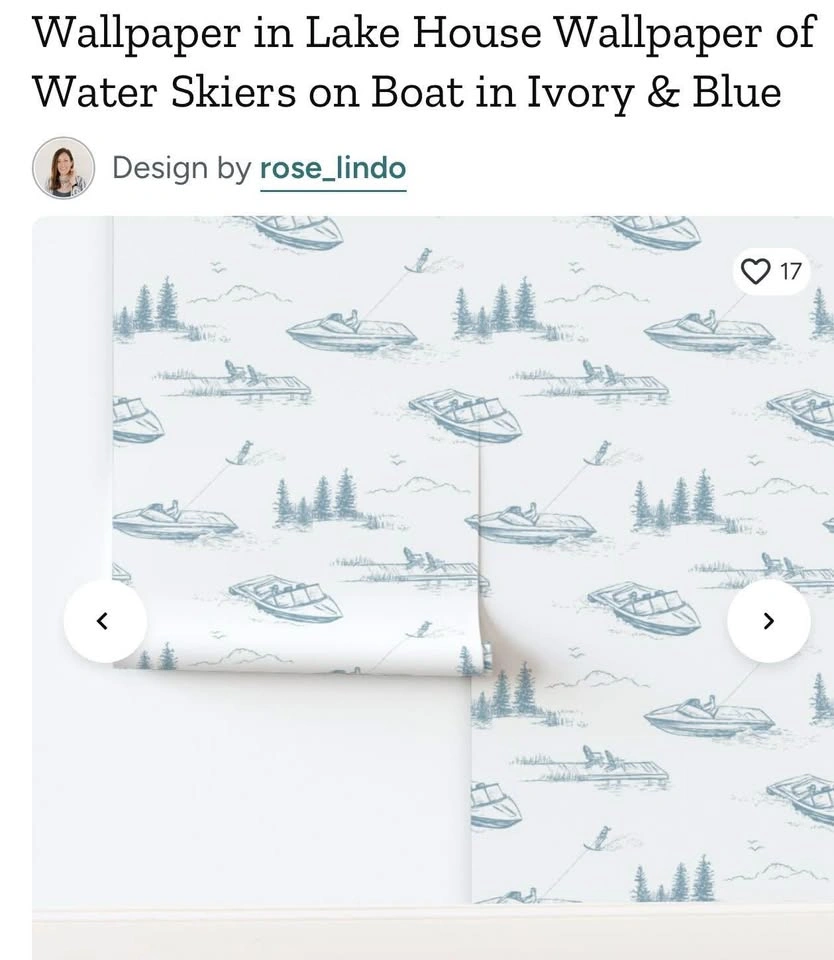 Brand New Lake House Wallpaper – Never Opened! - photo 2
