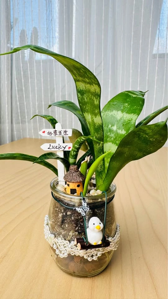 Spring On Sale/ cute plant arrangement - photo 4