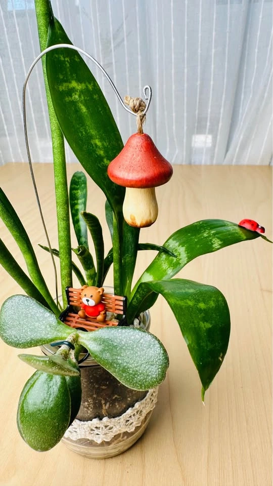 Spring On Sale/ cute plant arrangement - photo 5