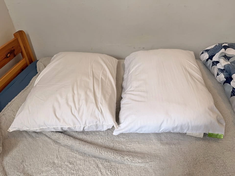 Two clean white pillows (medium & soft)