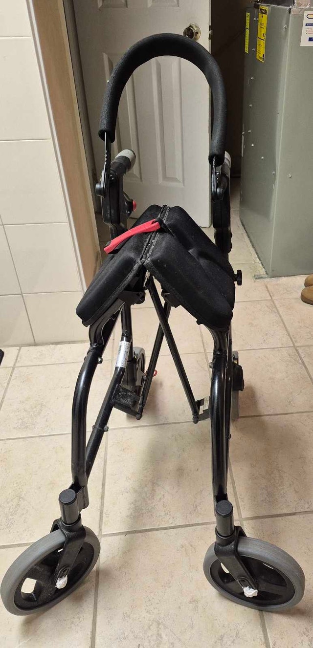 Nexus walker foldable - photo 3