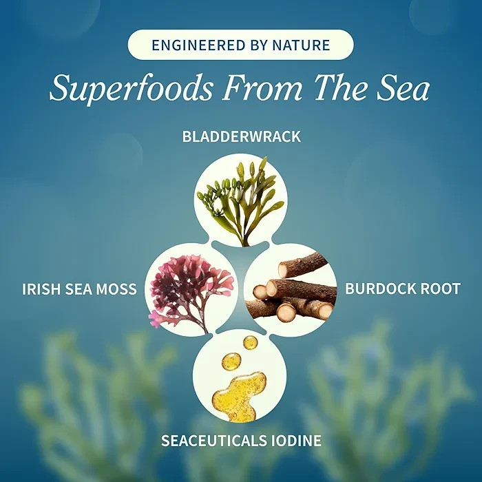 SNAP Organic Sea Moss Burdock Iodine Supplement - 60 Capsules - photo 3