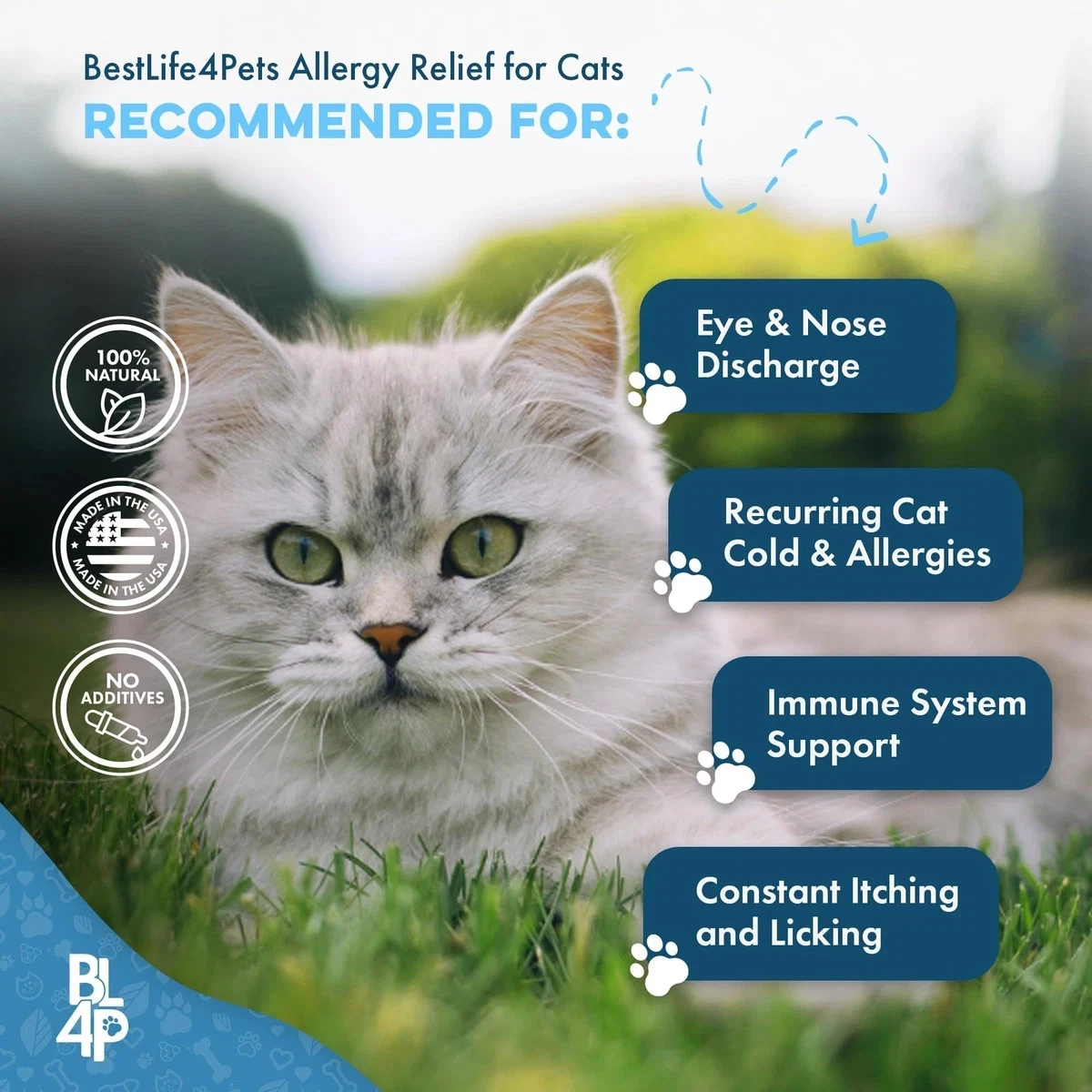 Cat Allergy Relief Immune Support - Natural Allergy Relief - photo 4