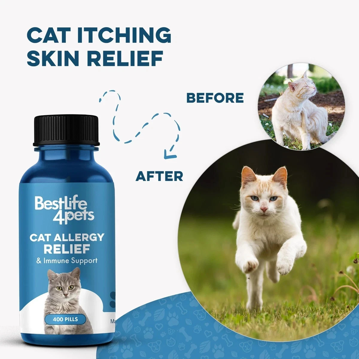 Cat Allergy Relief Immune Support - Natural Allergy Relief - photo 5
