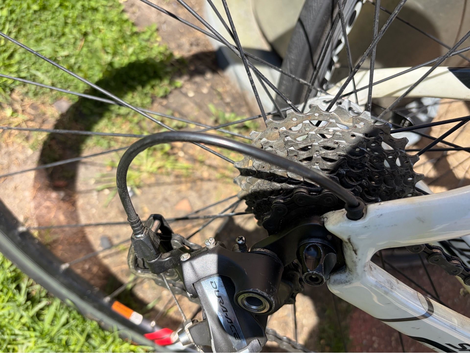 Specialized Shiv Expert Carbon Bike - photo 4