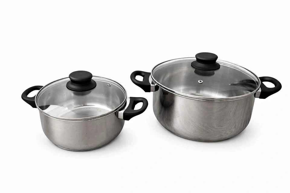 2 Stainless Steel Pots with Glass Lids
