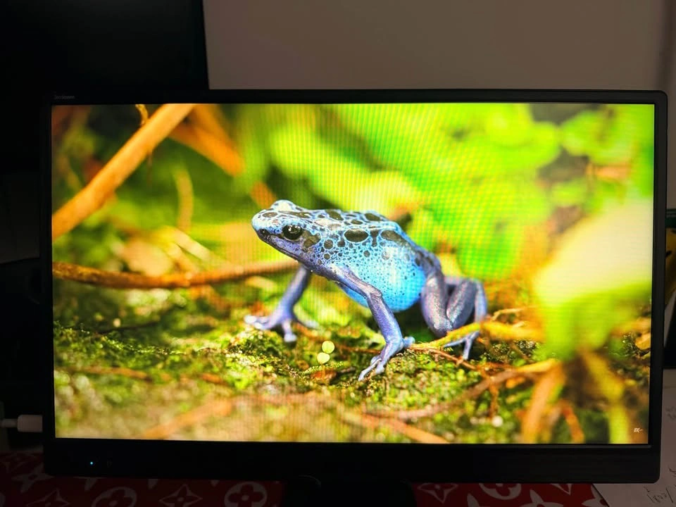 ASUS ZenScreen MB169CK Portable USB Monitor 15.6" FHD IPS - photo 4