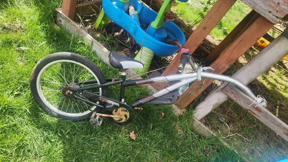 Tow behind bike - photo 2