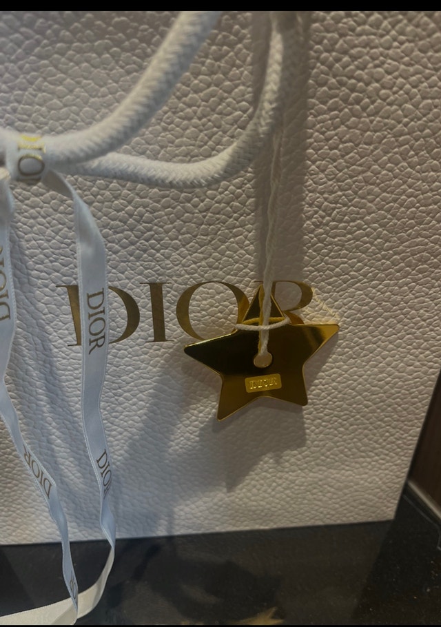Dior Pouch - photo 4