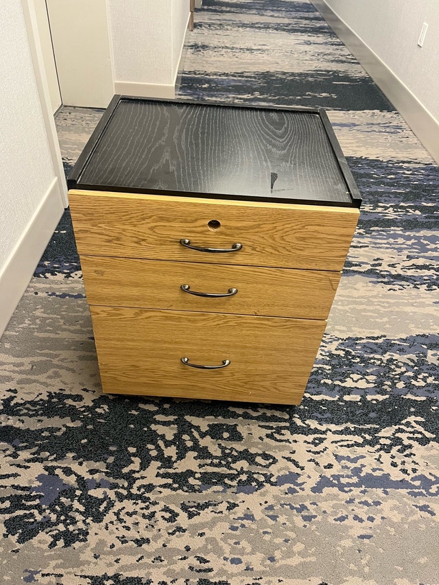 Rolling File Cabinet
