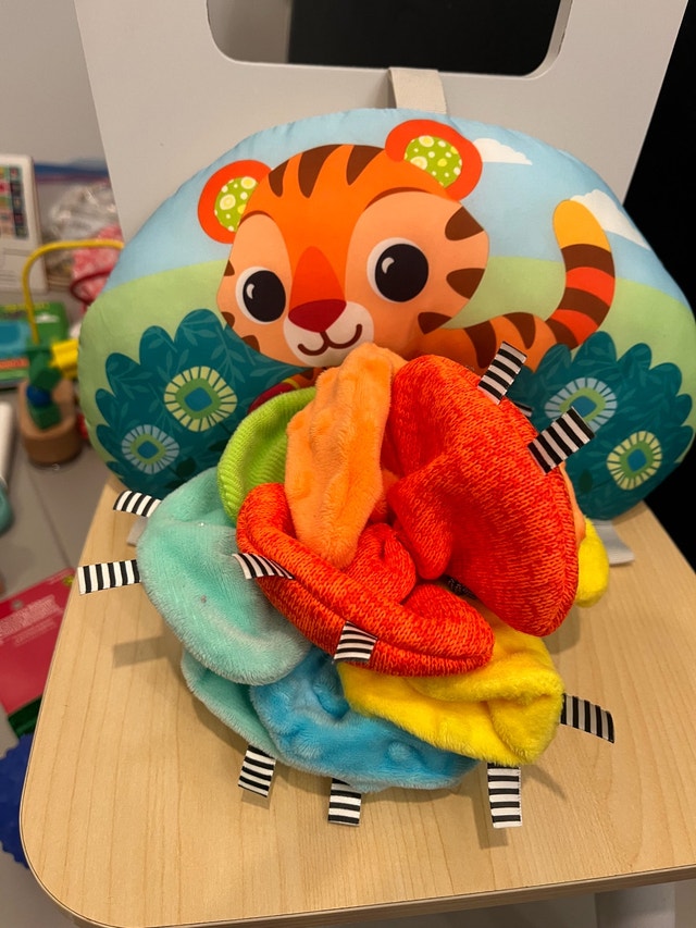 VTech Taggies Ball - photo 4