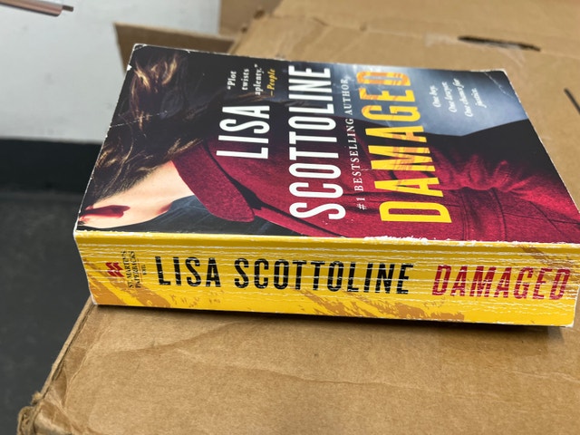 Lisa Scottoline Damaged