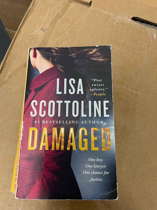 Lisa Scottoline Damaged - photo 2