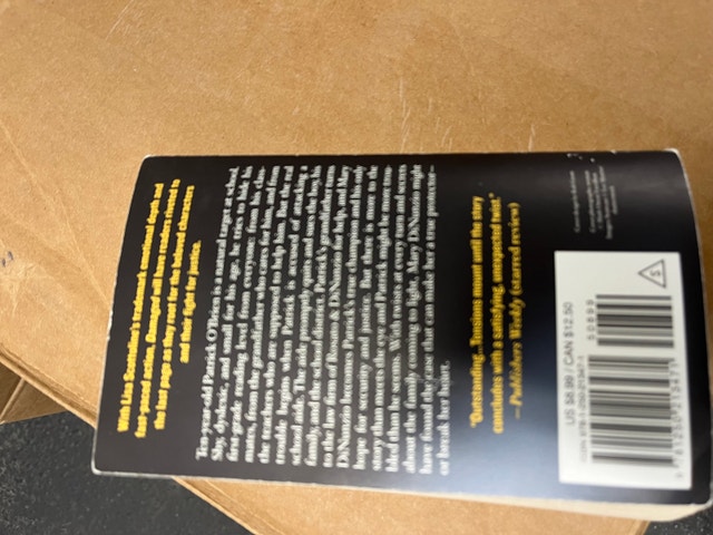 Lisa Scottoline Damaged - photo 3