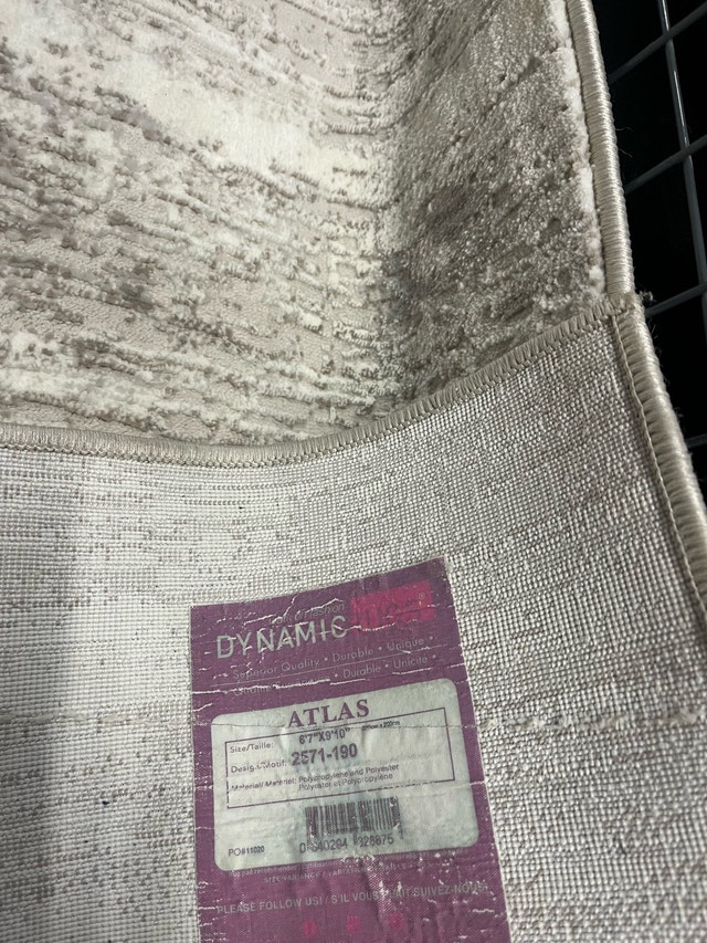 Dynamic Atlas Rug 6'7" x 9'10"