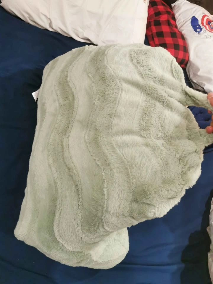 Pillow and Throw Blanket Combo - photo 2