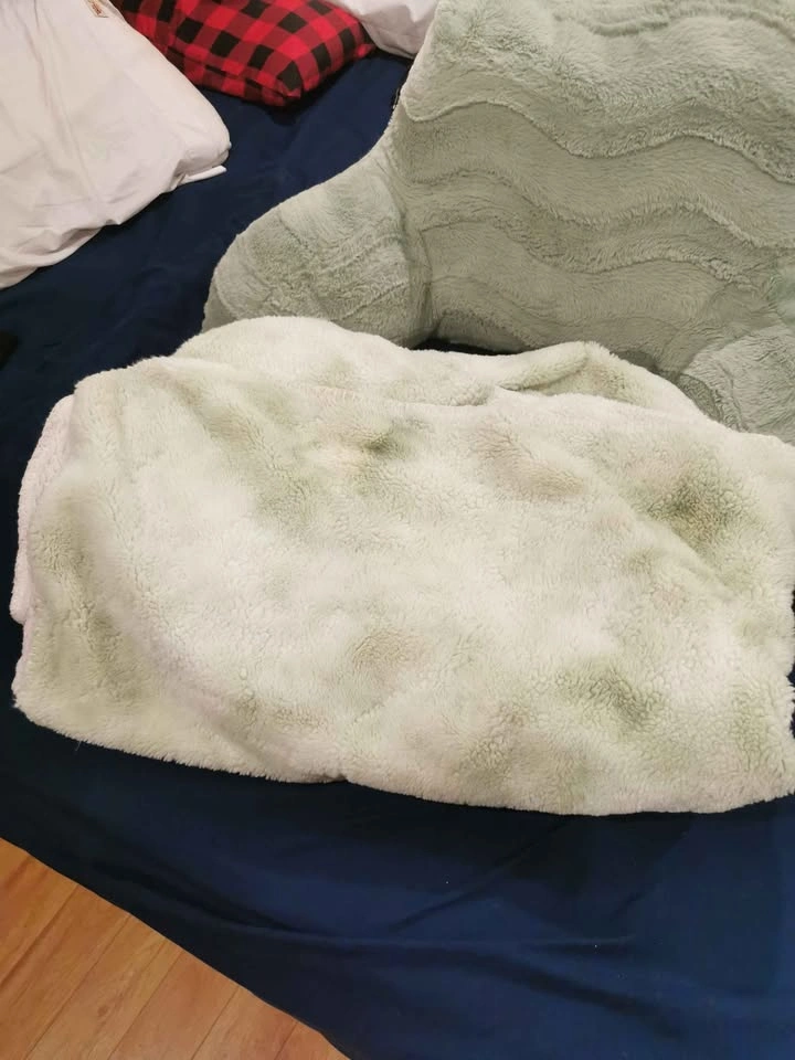 Pillow and Throw Blanket Combo - photo 3