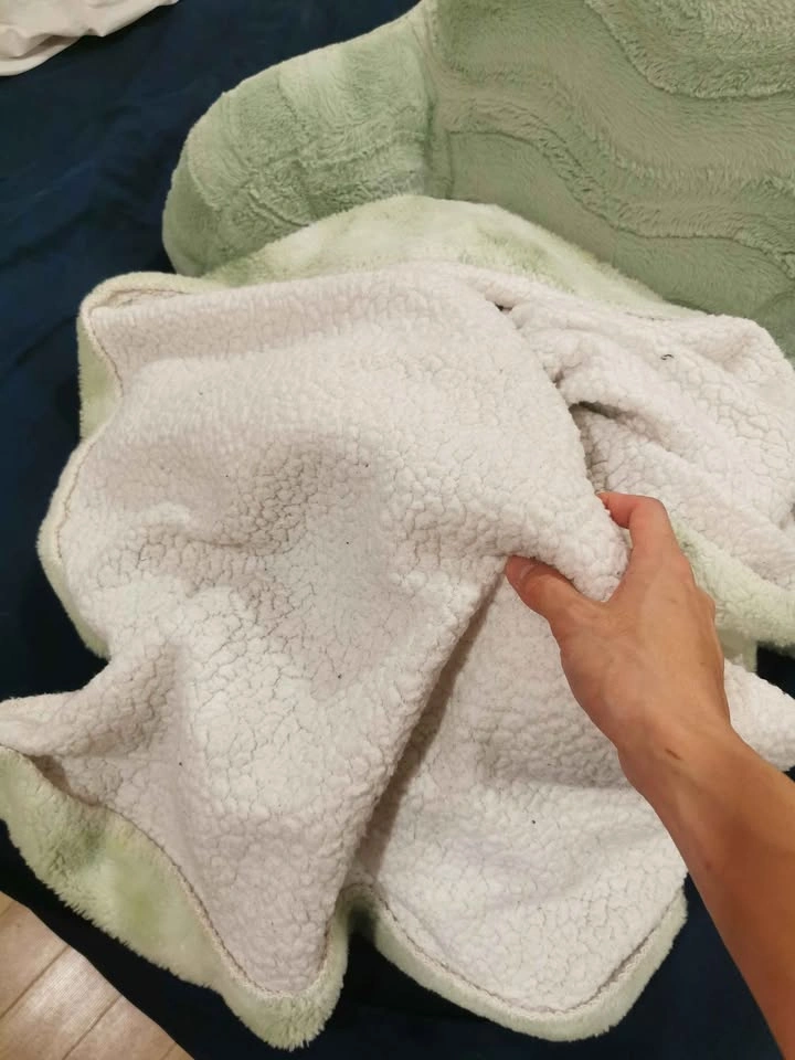 Pillow and Throw Blanket Combo - photo 4