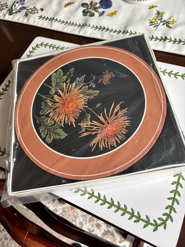 Pimpernel cork back placemats -gorgeous! NEW!