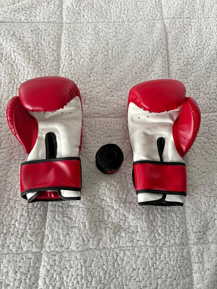 Boxing Gloves + bag