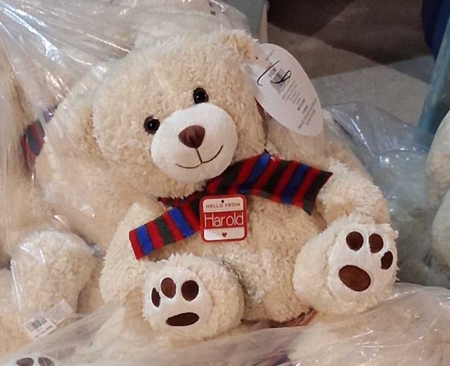 Harold The Bear!