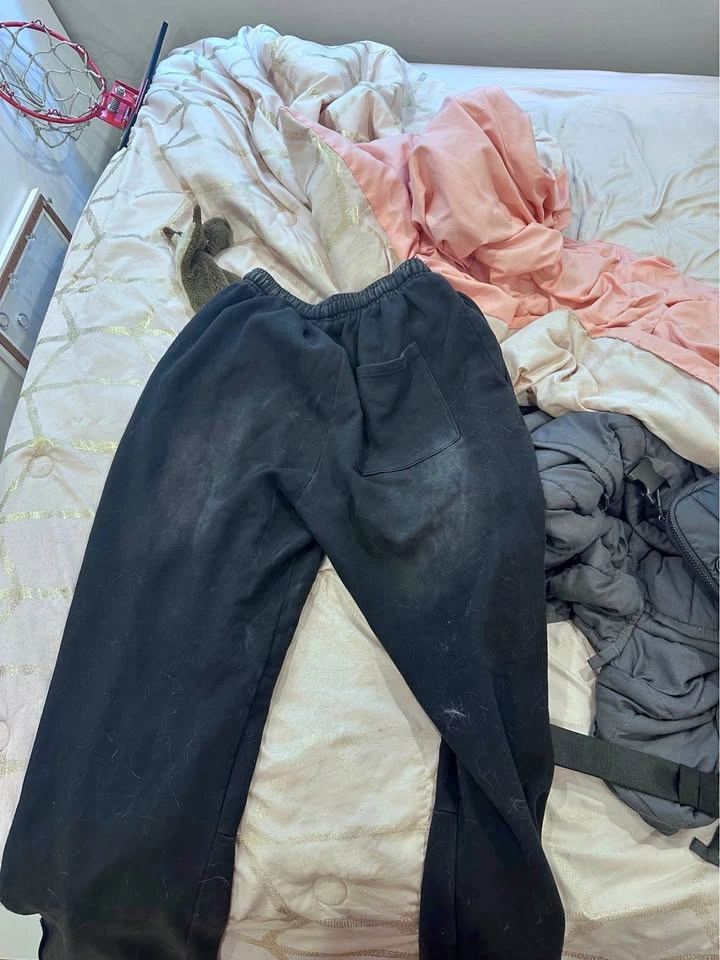 Size Large Hellstar Pants