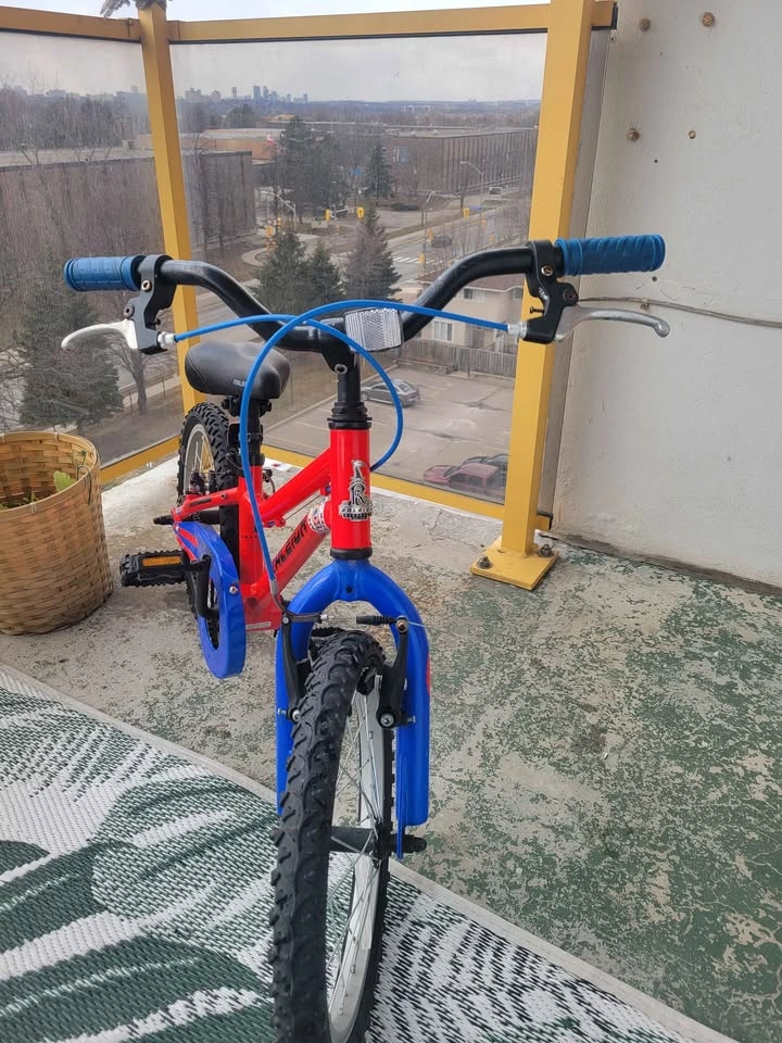 Raleigh Vibe Kids' Bike, 16-in, Red - photo 4