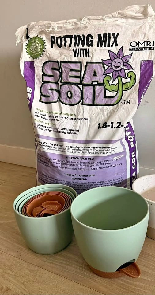 Set of 5 Self-Watering Plant Pots + Sea Soil Potting Mix