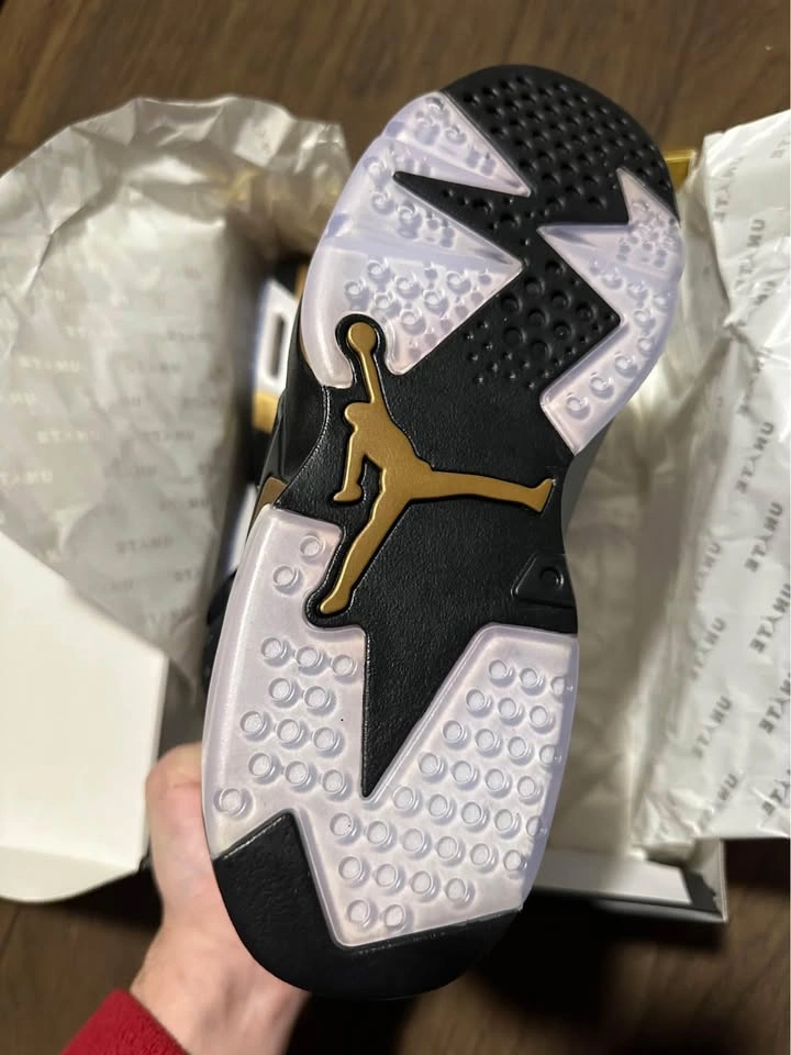 JORDAN 6 ‘DMP’ (2020) - photo 2