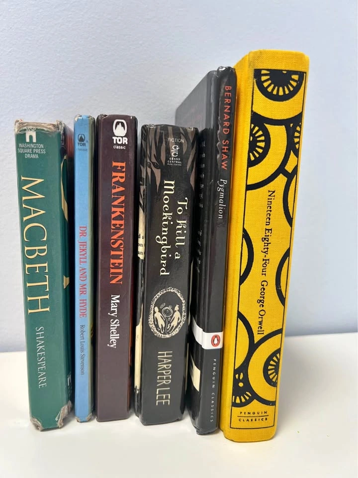 6 Classic Literature Books