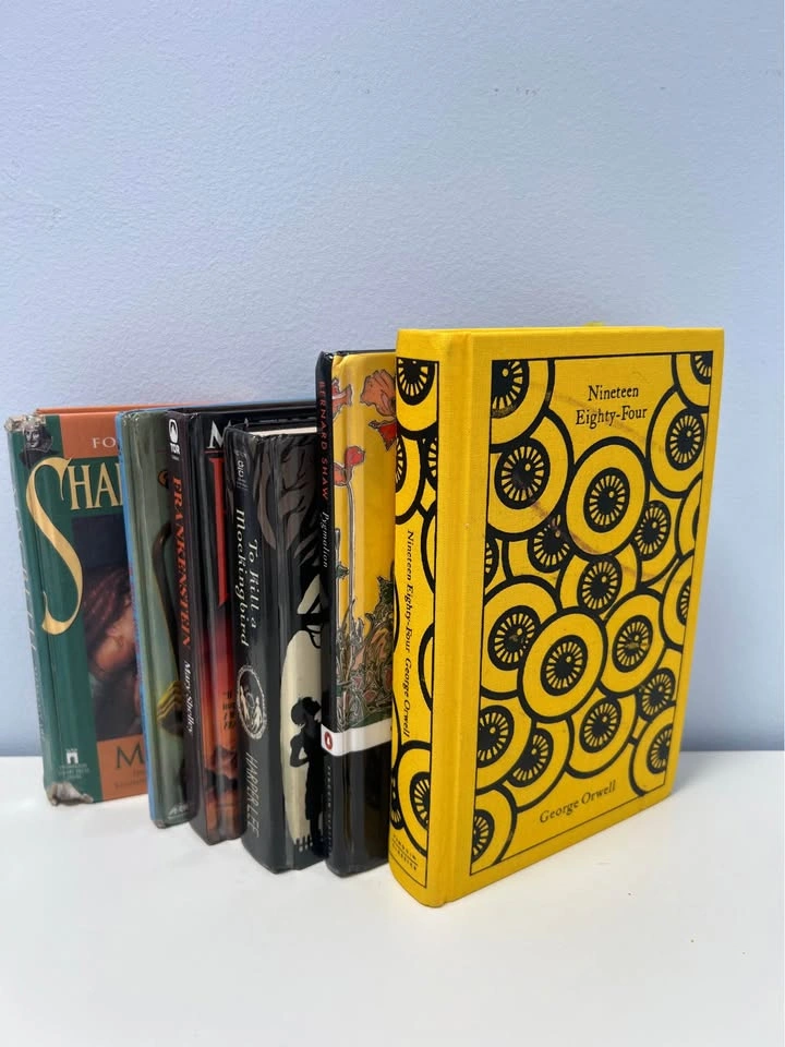 6 Classic Literature Books - photo 2