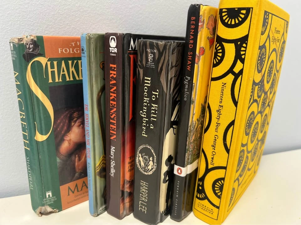 6 Classic Literature Books - photo 3
