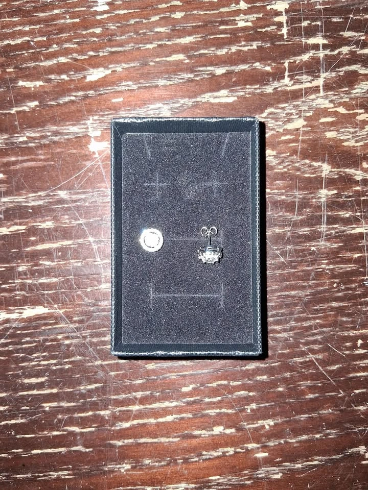 NEW Unisex GRA Moissanite Halo Stud Earrings Passes Diamond Test - photo 5