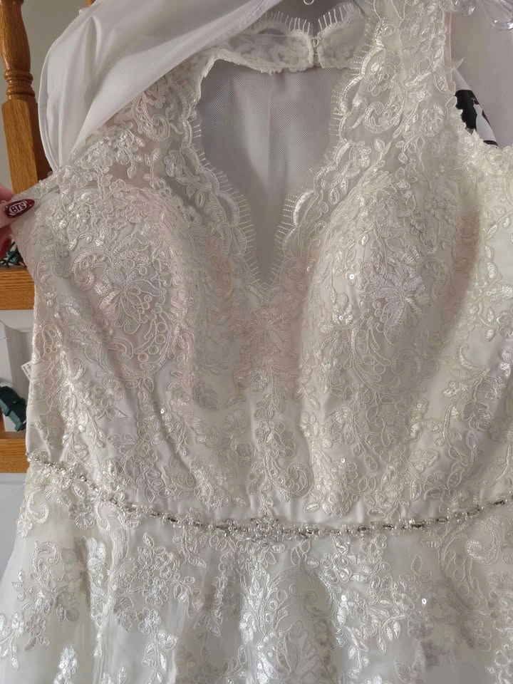 Plus Size Wedding Gown & Veil - photo 2