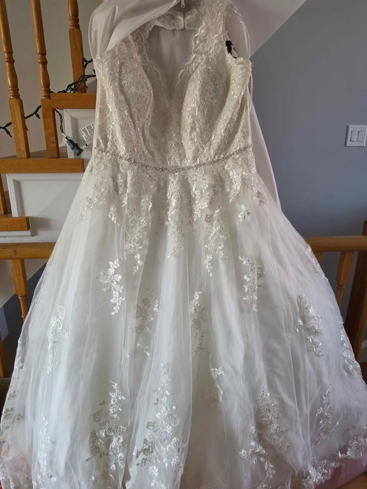 Plus Size Wedding Gown & Veil - photo 4