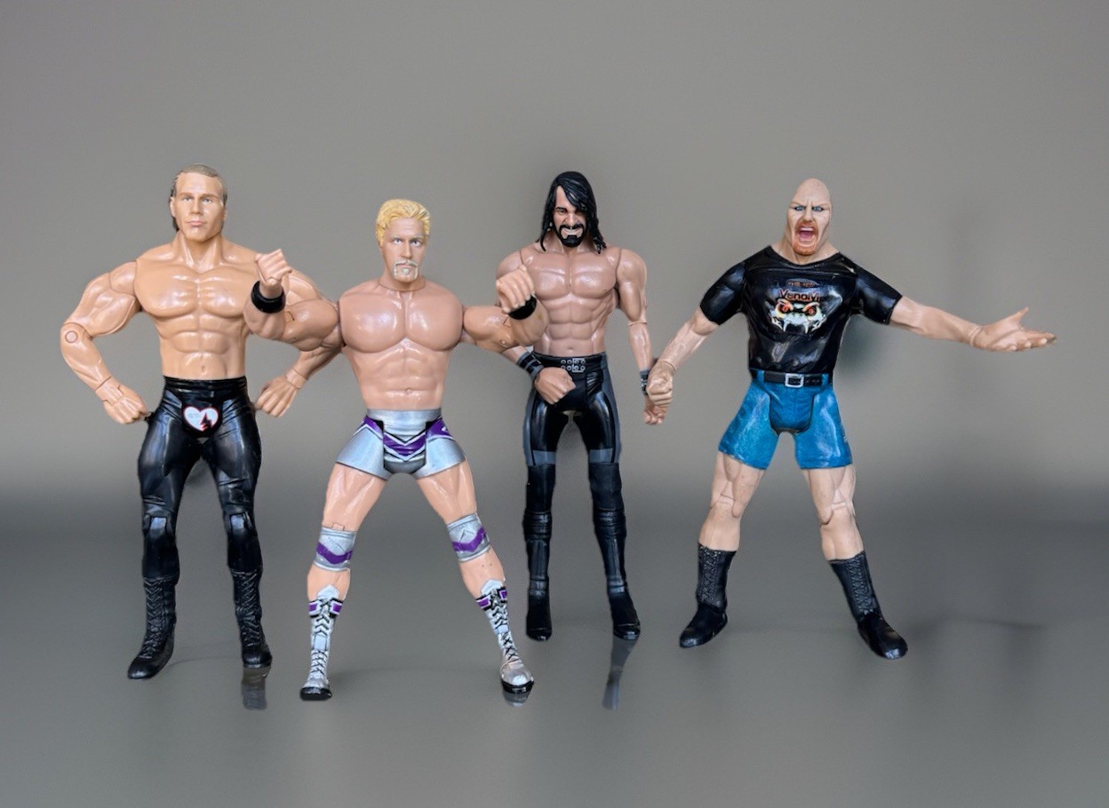 (4) WWE Characters- Seth Rollins, Steve Austin, Jeff Jarrett, Sh