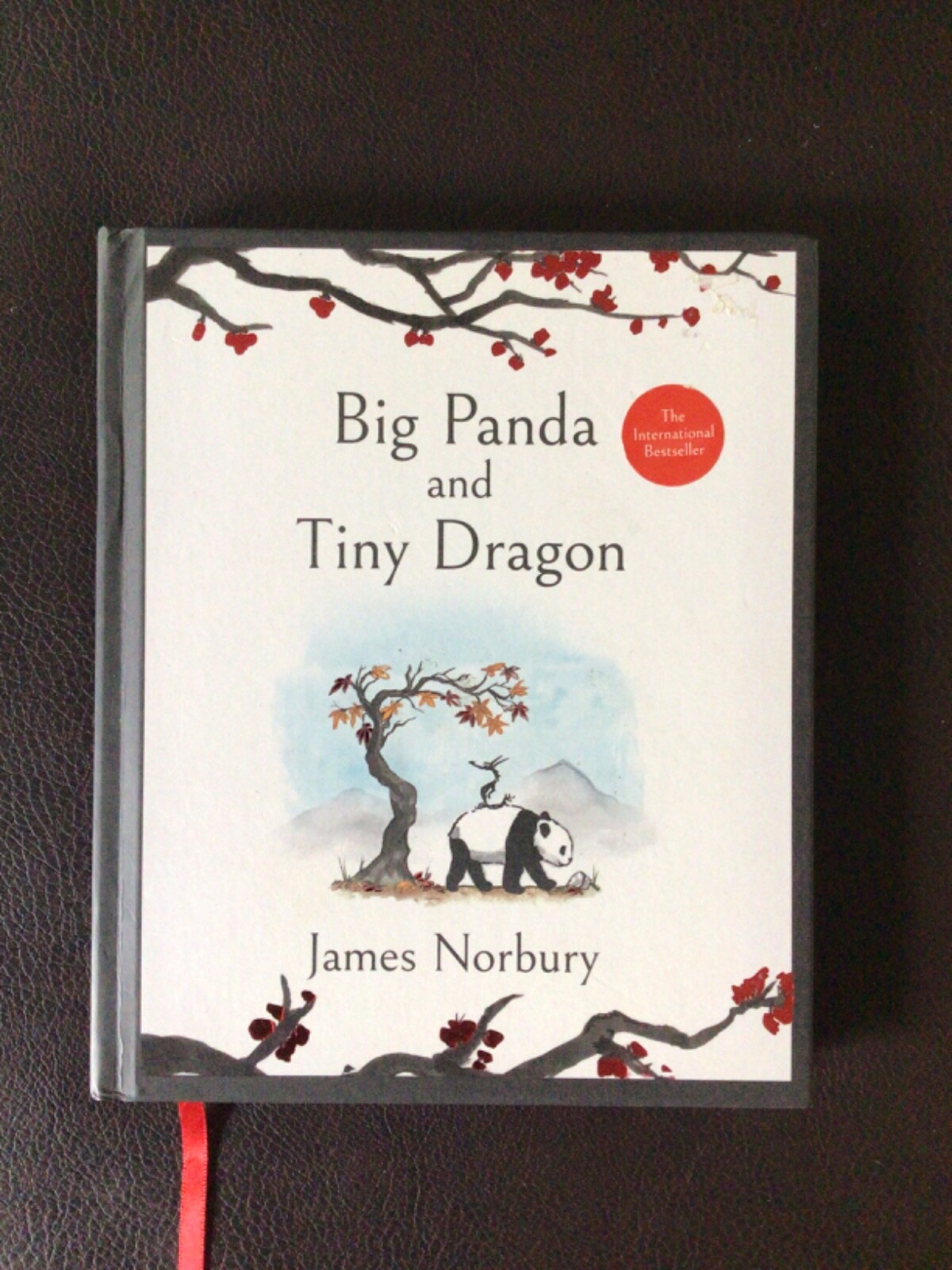 Big Panda and Tiny Dragon by James Norbury (2021, Hardcover)