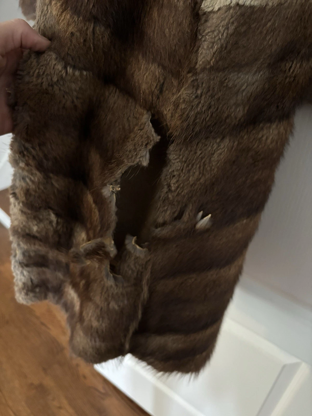 Vintage 1900s Muskrat/Coyote Fur Women's Jacket - photo 5