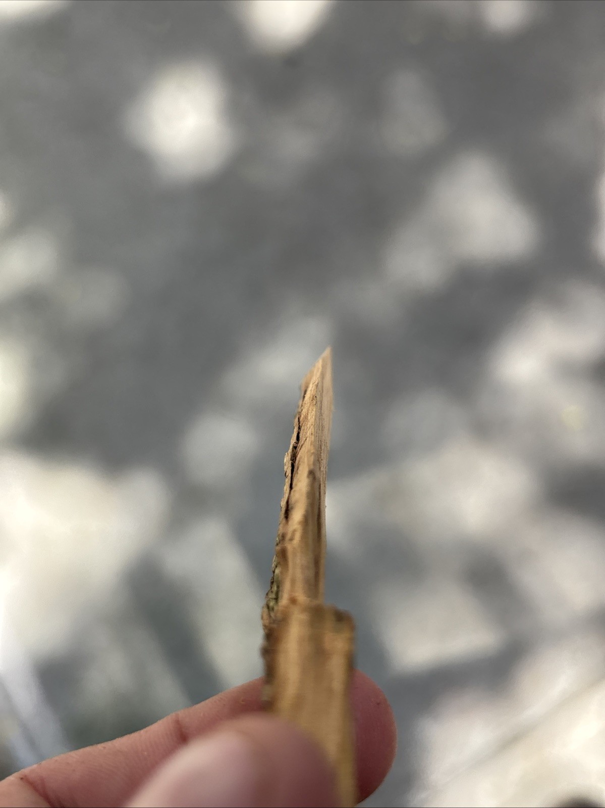 1/1 Handmade Fully Wooden Decorative Knife - photo 4
