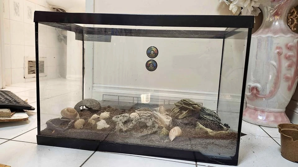 Terranium Fish Tank