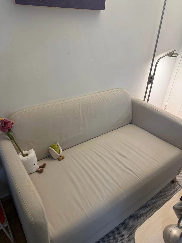 IKEA LINANÄS Loveseat Light Beige - photo 2