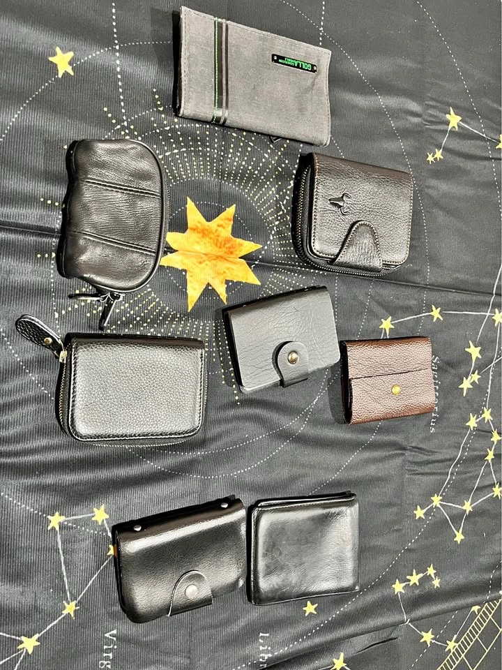 Wallet, card holders, and pouch
