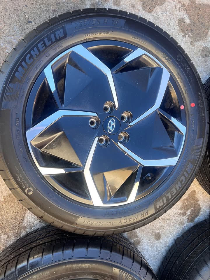 Hyundai Ionic 5 OEM Takeoff Rims All Season Tires - photo 3