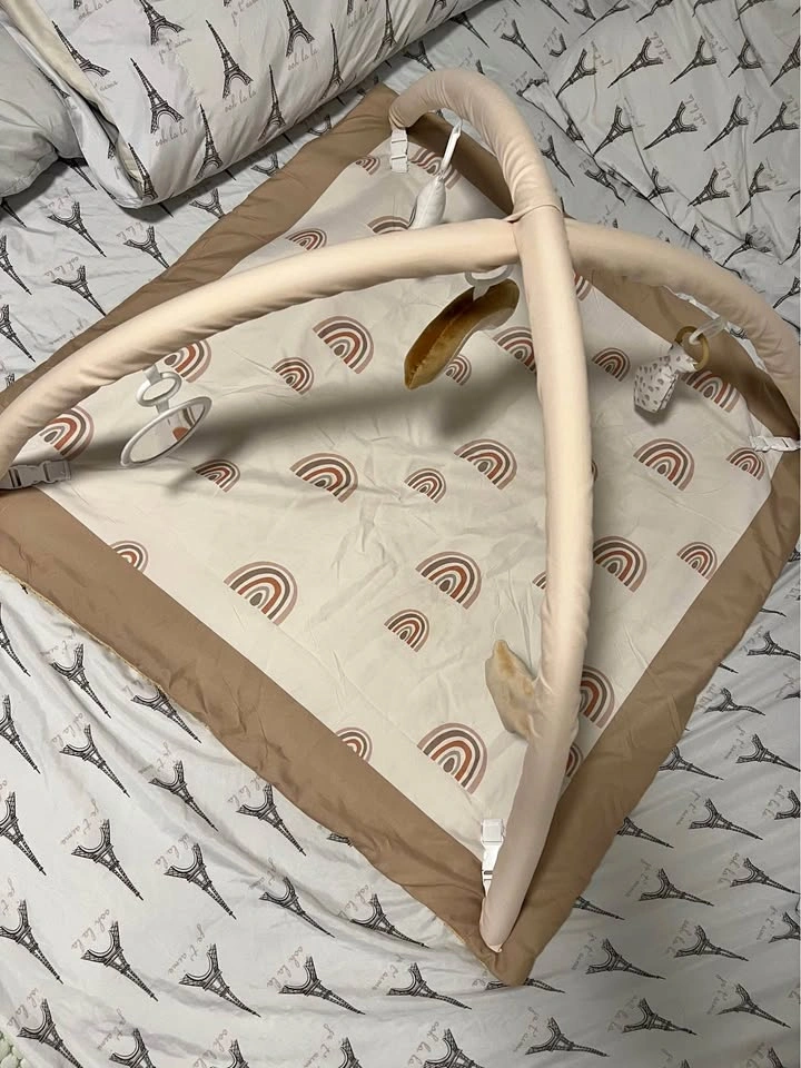Baby Activity Mat
