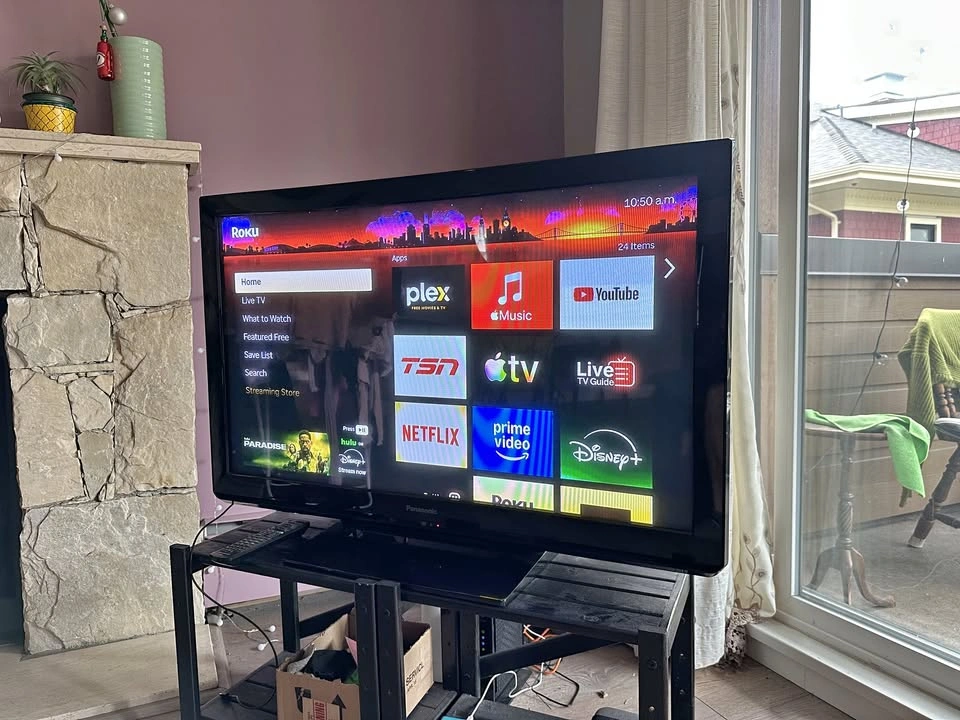 Panasonic Flat Screen TV - 44"