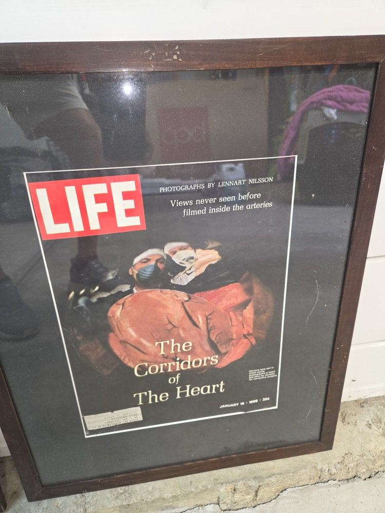 Vintage Life Magazine Covers - photo 3