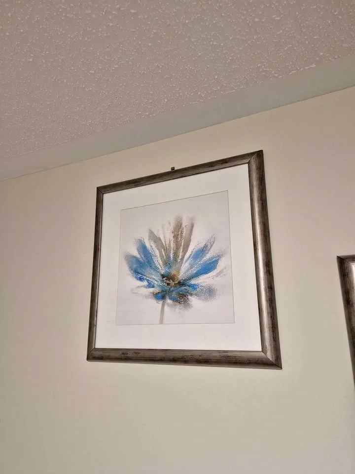 Set of 2 Floral Abstract Framed Wall Art